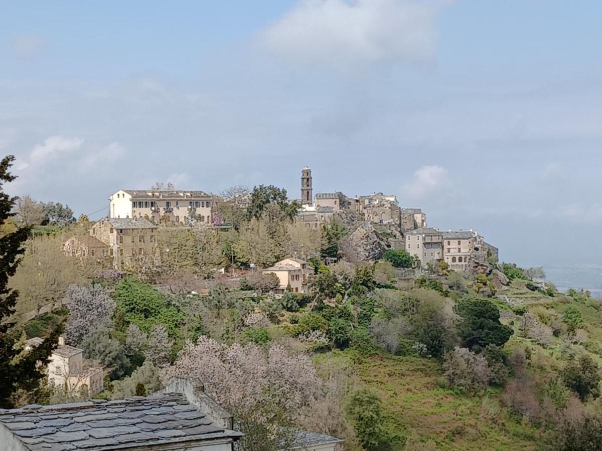 Casa Pernice Penta di Casinca Εξωτερικό φωτογραφία