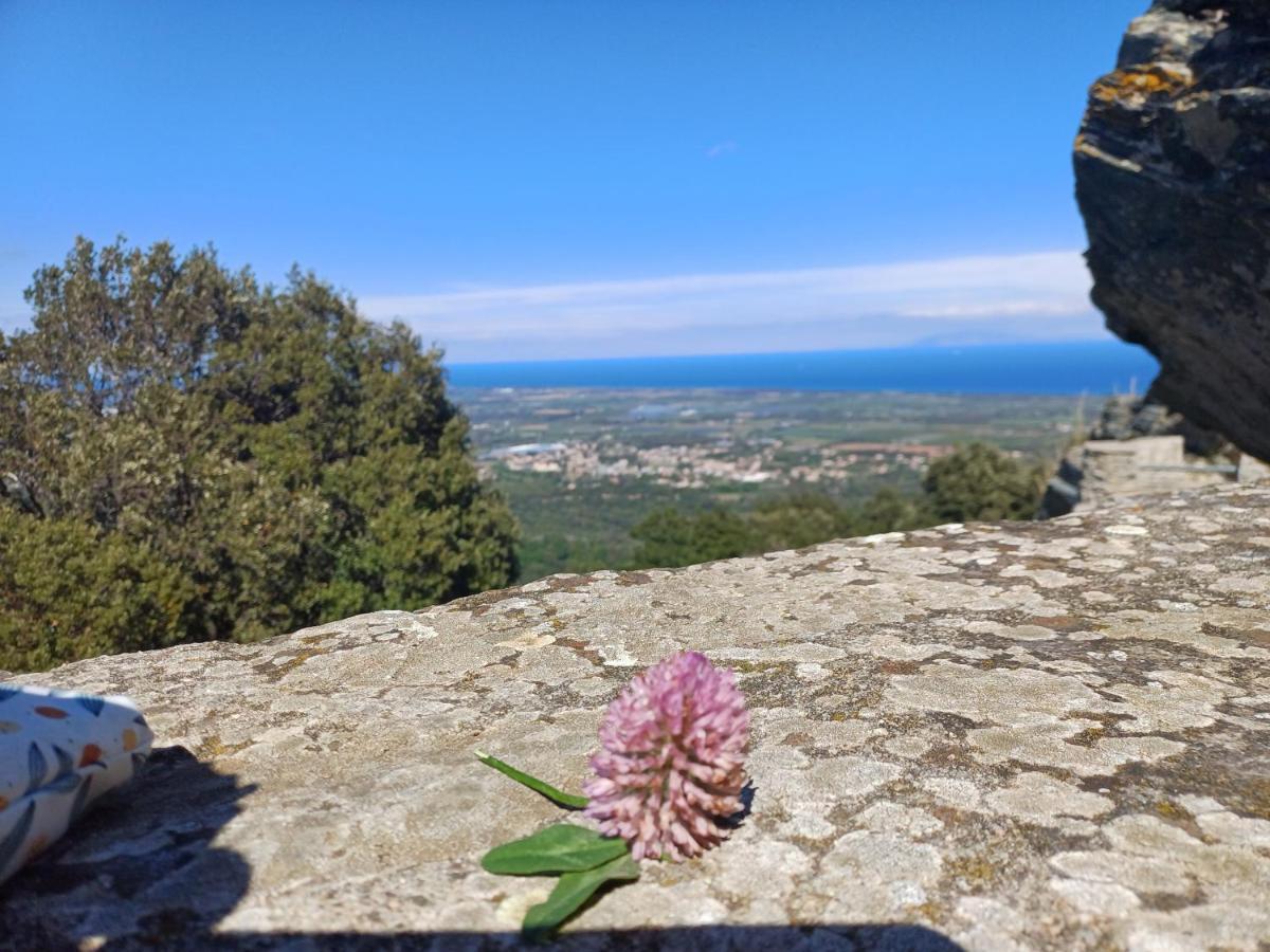 Casa Pernice Penta di Casinca Εξωτερικό φωτογραφία